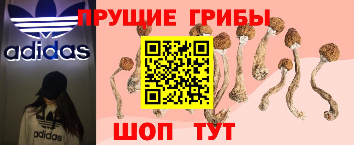Сергиев Посад  Псилоцибиновые грибы мицелий  Вход с VPN 